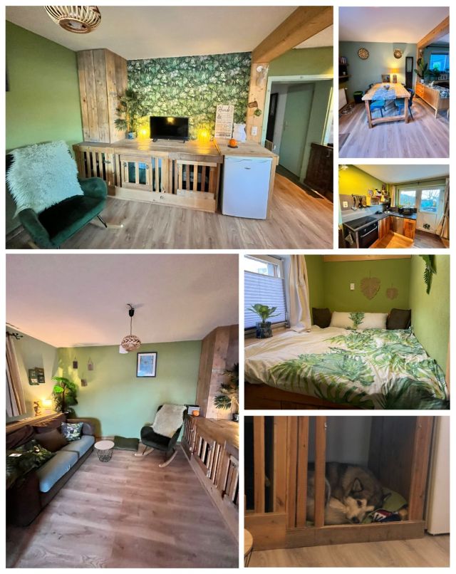 Appartement Kiko></td>
  </tr>
    <tr>
    <td>&nbsp;</td>
  </tr>

  <tr>
    <td align=